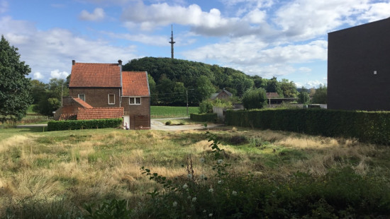 Torenstraat - 54+ - Hulsbos - 3380