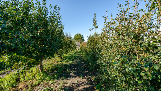 Sikkelstraat - 7 - - 8630