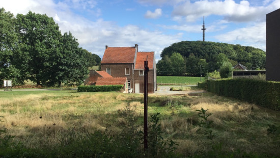 Torenstraat - 54+ - Hulsbos - 3380