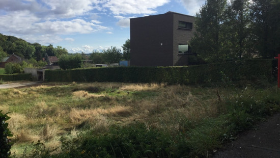 Torenstraat - 54+ - Hulsbos - 3380