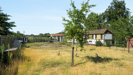 Rollegem-Kapelsestraat - 64a - - 8880