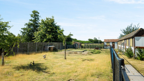 Rollegem-Kapelsestraat - 64a - - 8880