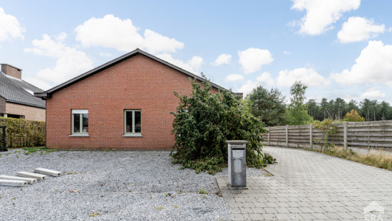 Witte Hoeve - 50 - - 2431