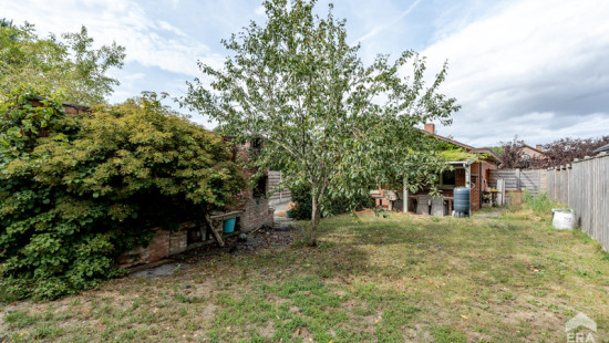 Witte Hoeve - 50 - - 2431