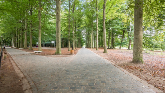 Frans van Dijckstraat - 19 - - 2100