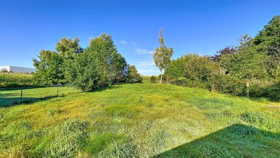Rue du Werihet - 23 - - 4052