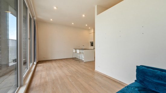 Dambruggestraat - 347 - 403 - 2060