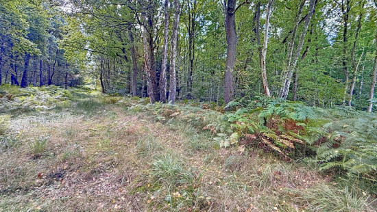 Rue du Bois des Manants - - - - 4052