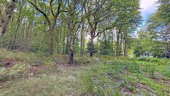 Rue du Bois des Manants - - - - 4052