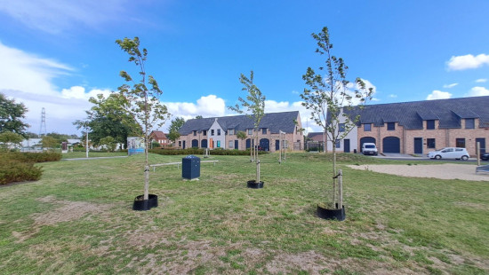 Europaplein - 11 - - 8550