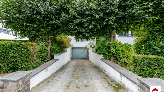 Grimbergsesteenweg - 113 - - 1853