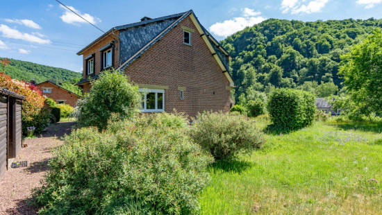 Rue du Vicinal - 222 - - 5550