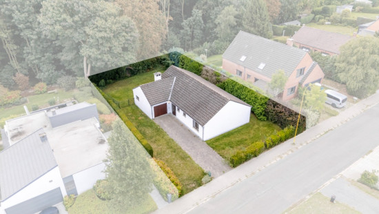 Leeuwerikenstraat - 39 - - 1850