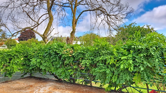 Rue Alphonse Nicolas - 535 - - 4520