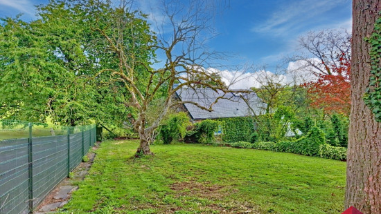 Rue Alphonse Nicolas - 535 - - 4520