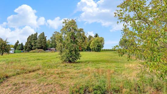 Wersbeekstraat - 33 - - 3391