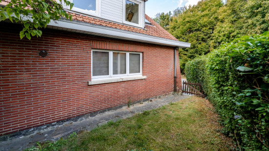 Papegaaistraat - 20 - - 1800