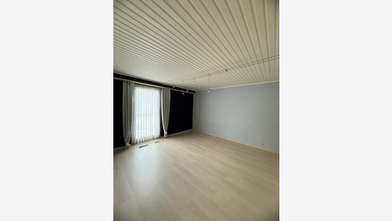 Heiveld - 56 - - 3980