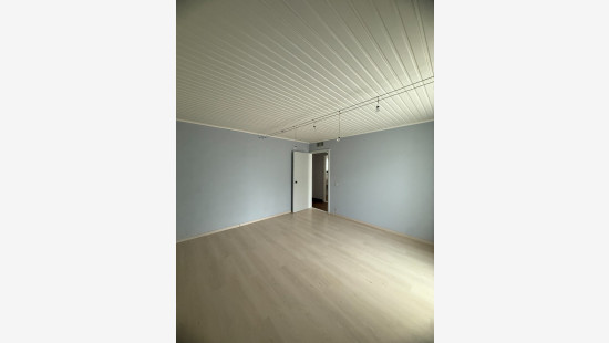 Heiveld - 56 - - 3980