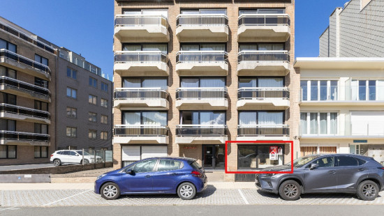 Koninginnelaan - 64 - - 8670