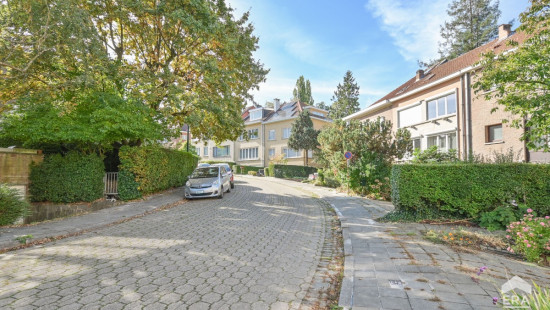Avenue Calypso - 5 - - 1170