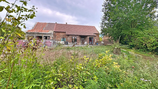 Rue Albert Quivy - 8 - - 7950