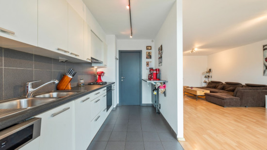 Blancefloerlaan - 171 - 403 - 2050