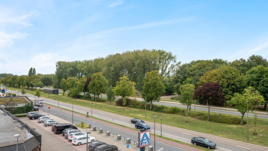Blancefloerlaan - 171 - 403 - 2050