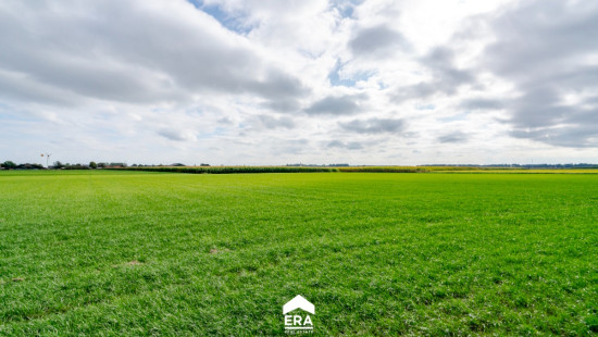 Kempstraat - 52 - - 3960