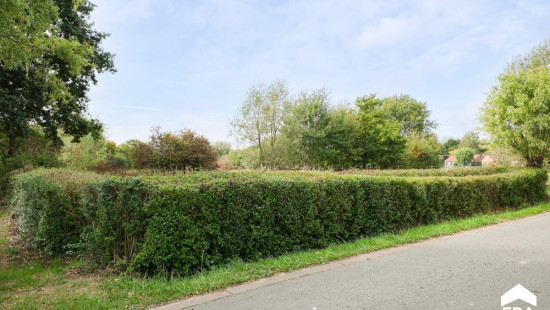 Palsbosstraat - 35 - - 154 F P0000 - 3740