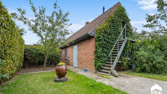 Dikkebusstraat - 29 - - 8954