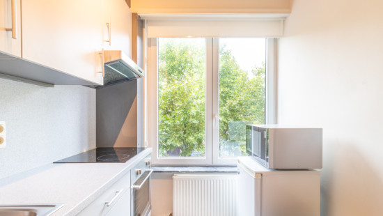 Rietschoorvelden - 267 - 3 - 2170