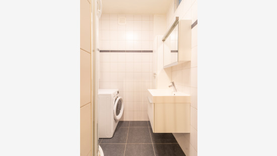Rietschoorvelden - 267 - 3 - 2170