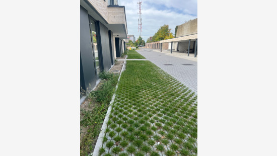 Processiestraat - 3A - 11 - 8790