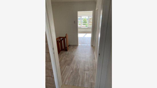 Kuringersteenweg - 300 - - 3500