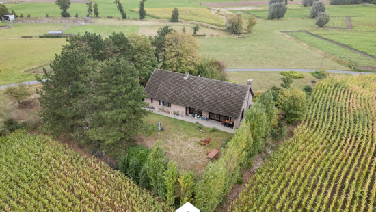 Westkantstraat - 65 - - 8020