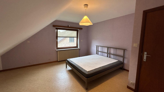Boomgaardstraat - 36 - - 3720