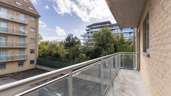 Franslaan - 80 0101 - ELISA - 8620