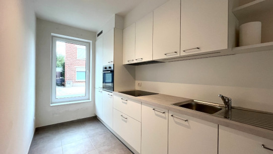 Molenstraat - 50 - - 8340