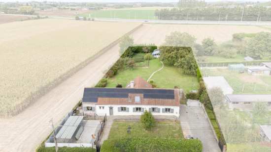 Rue de Paris - 12 - - 7830