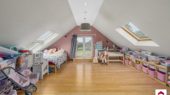 Rue de Paris - 12 - - 7830