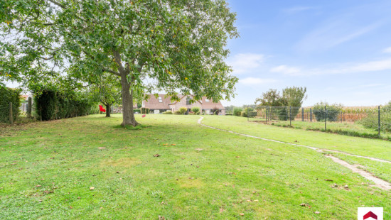 Rue de Paris - 12 - - 7830