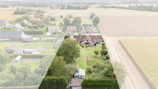 Rue de Paris - 12 - - 7830