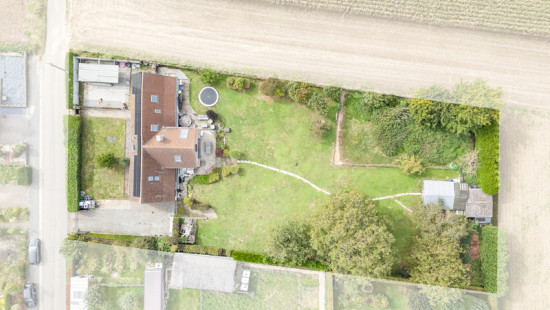 Rue de Paris - 12 - - 7830