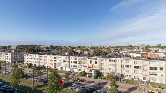 Ruggeveldlaan - 728 - 12 - 2100