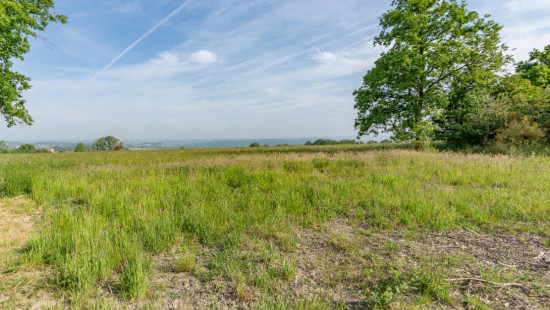 Plain de Holset - 23 - - 6940