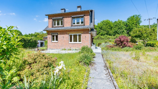 Rue du Vicinal - 222 - - 5550