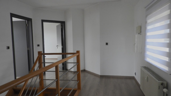Rue Cordémont - 86 - - 4450