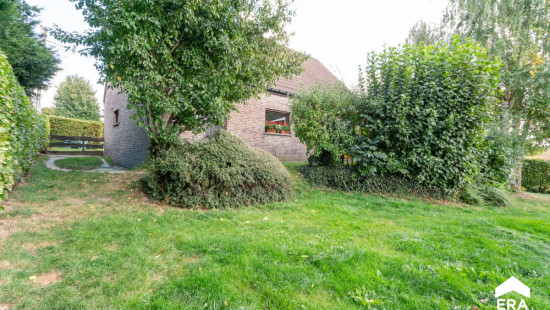 Bovenbosstraat - 7 - - 3052