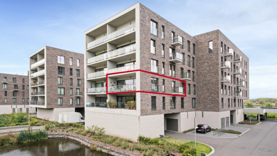 Scheldeoever - 11 - 5 - 2620